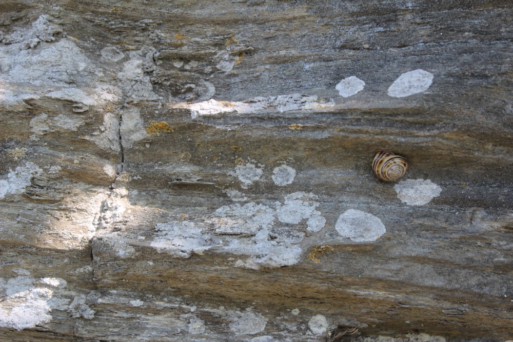 Roccastella: cos'', geologicamente?